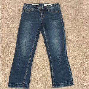 Pilcro and the Letterpress Blue Ankle Cropped Jeans